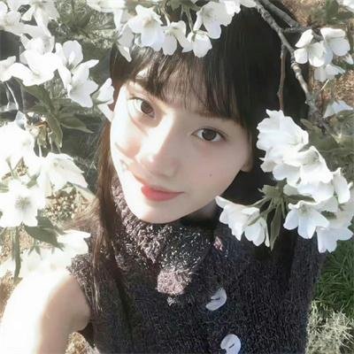 机械陪伴